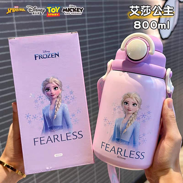 Disney Premium Insulated Bottles