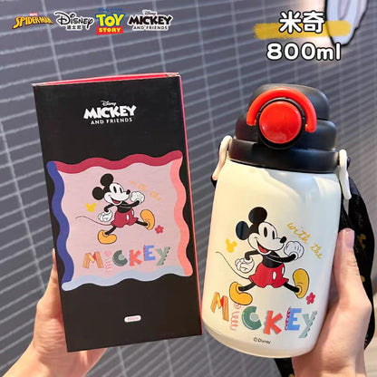 Disney Premium Insulated Bottles