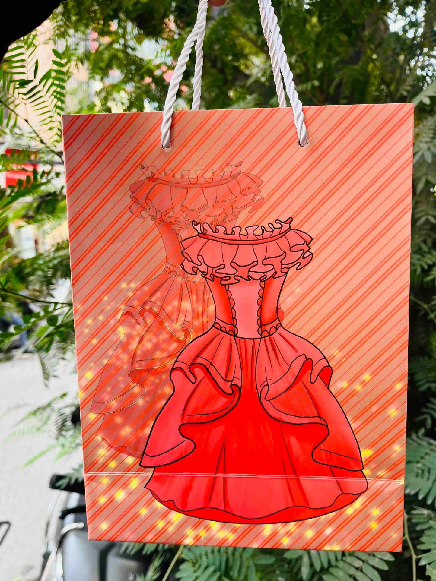 Gift Carry Bag