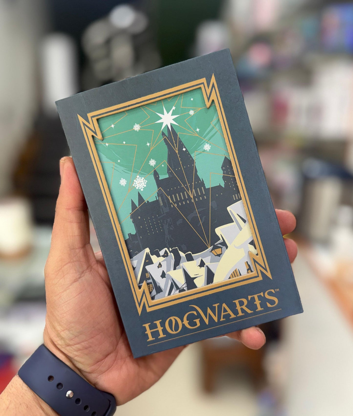 Harry Potter Magnetic Diary
