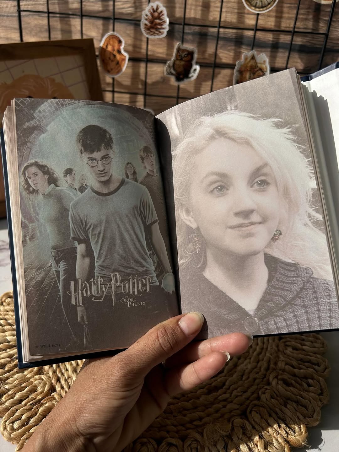 Harry Potter Magnetic Diary
