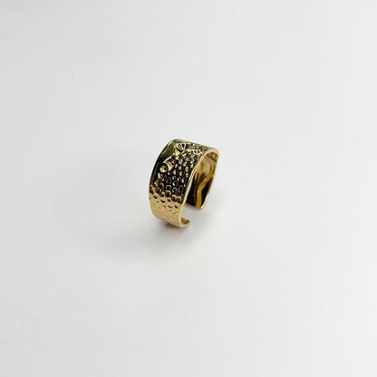 Lost in the Desert Statement Ring