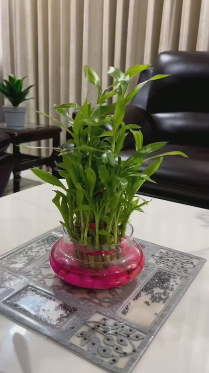 Led Cosmetic Mirror Fan