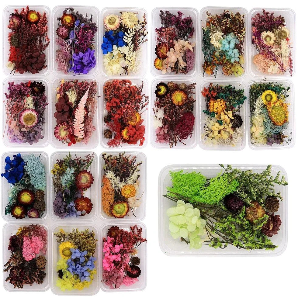 Dry Flower Box