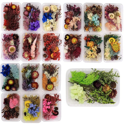 Dry Flower Box